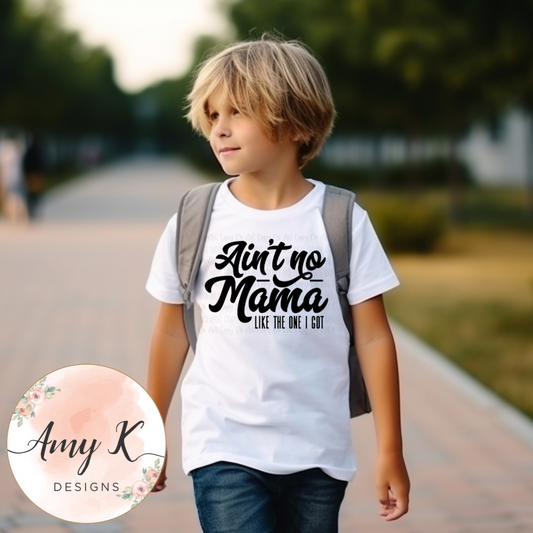 Aint No Mama Like the One I Got